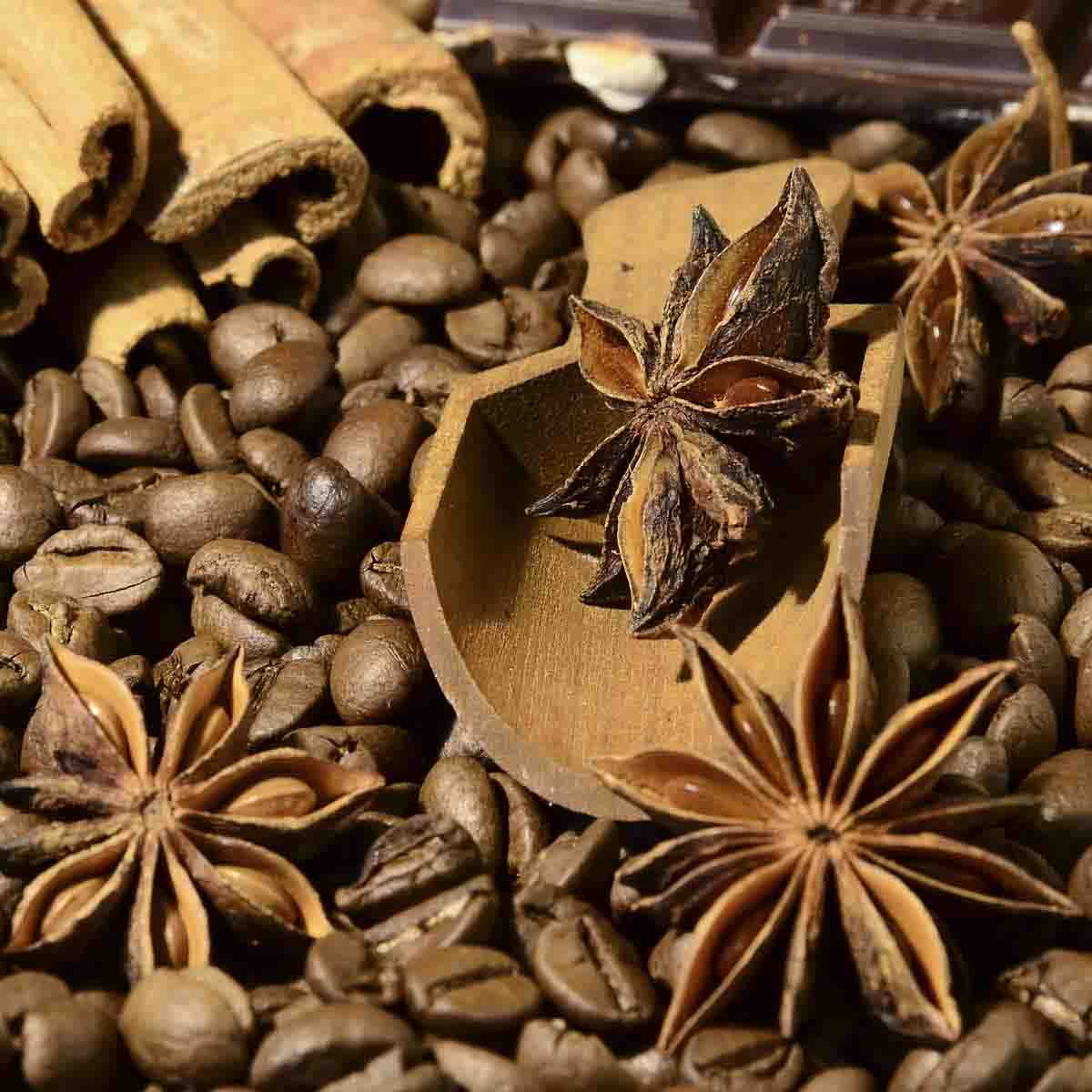 Stars of star anise decorate a pile of coffee beans.