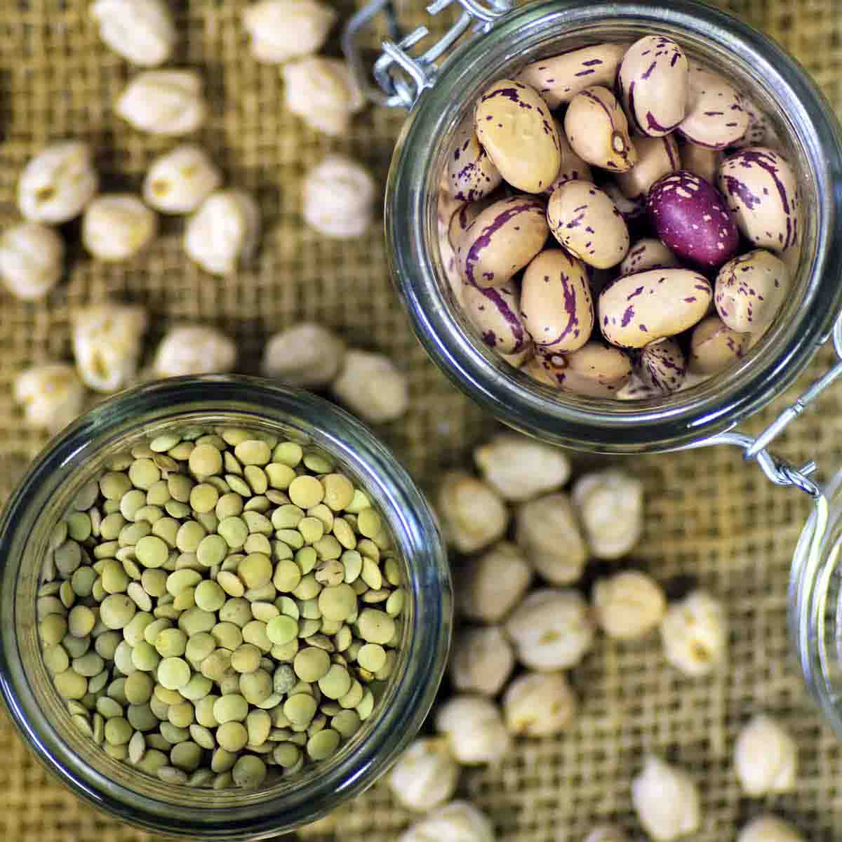 Dry beans in jars.