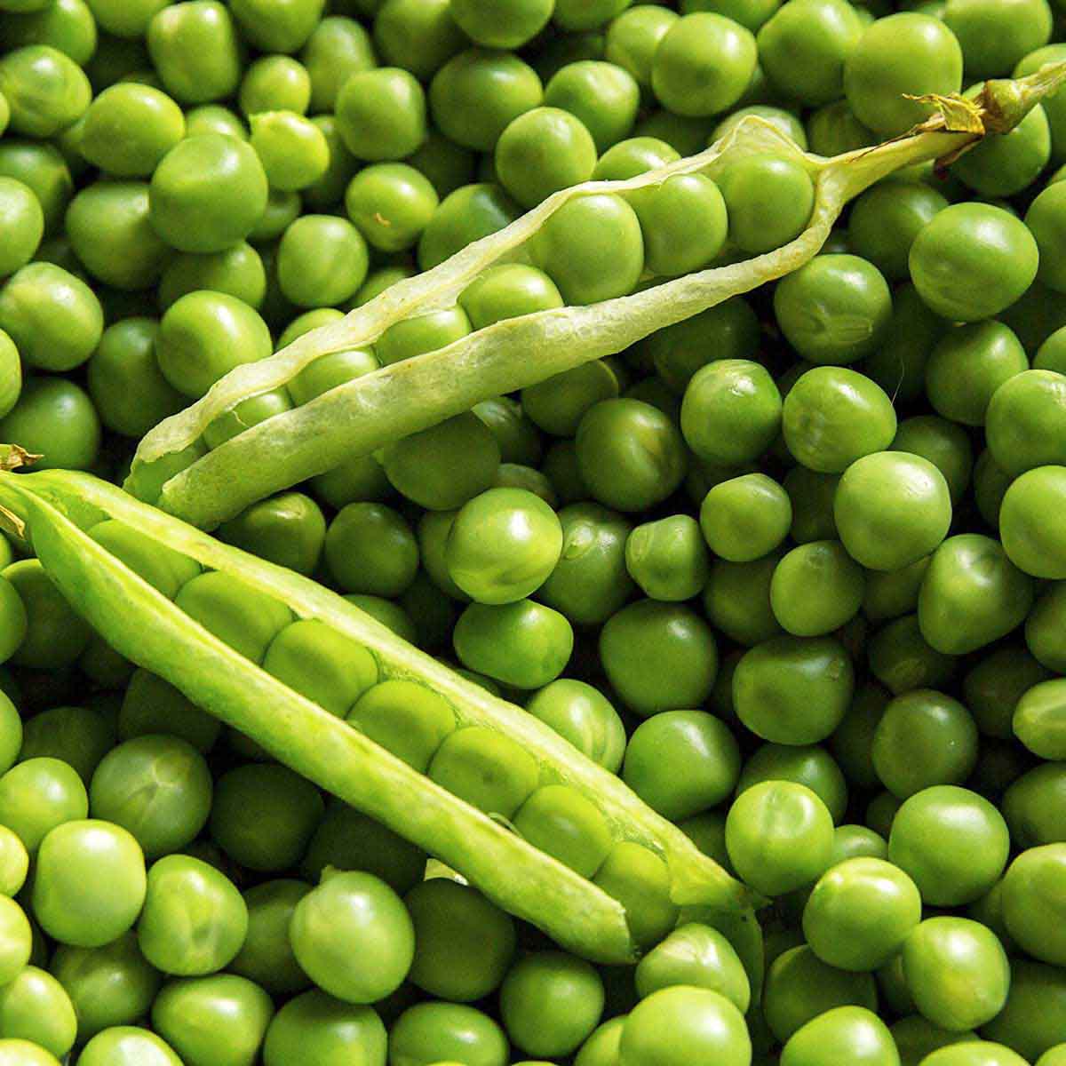 Bowl of fresh peas.