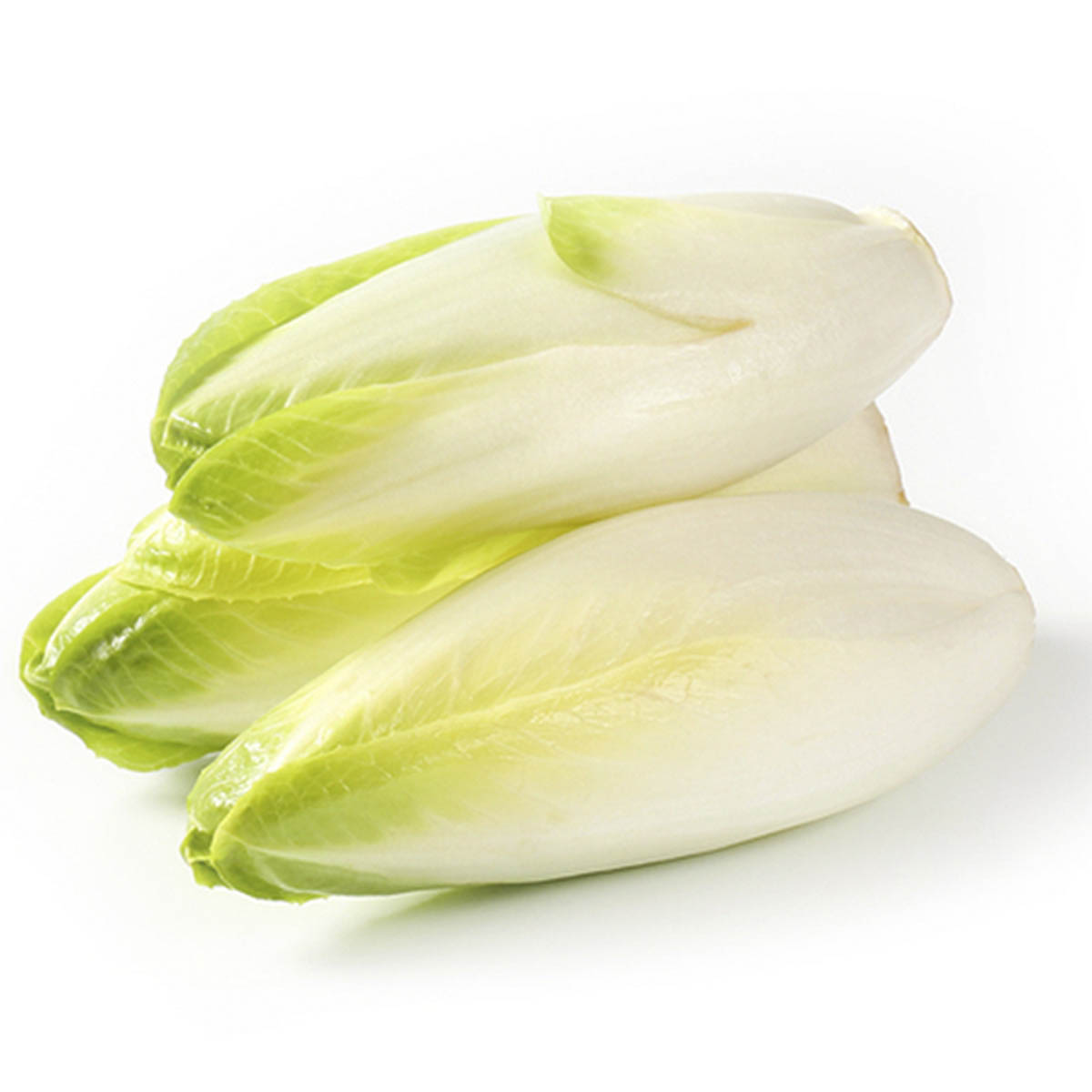 Three endive heads stacked.
