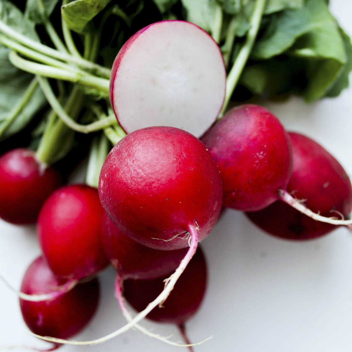 Bright red radishes tied in a bundle.