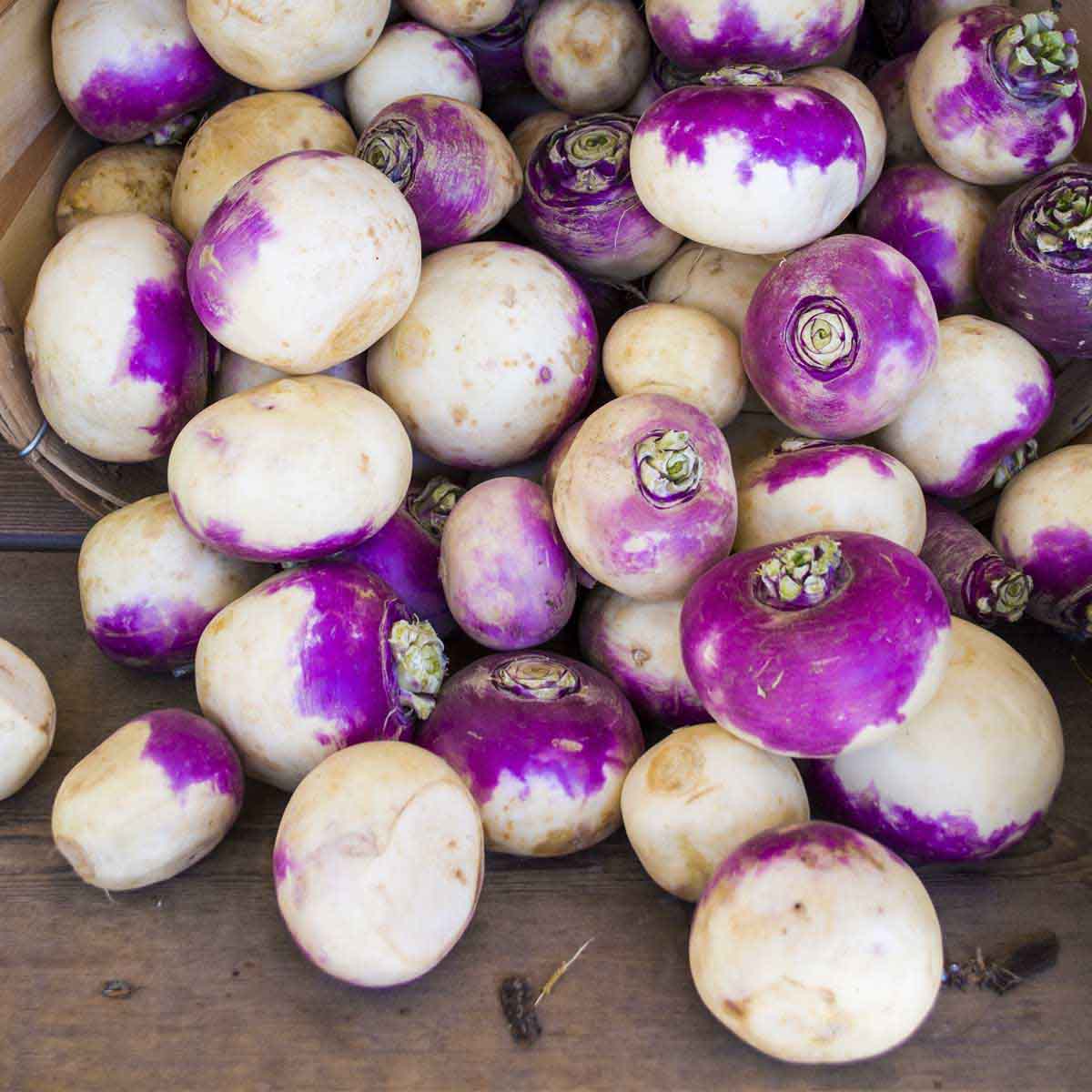 Pile of pink and white turnips.