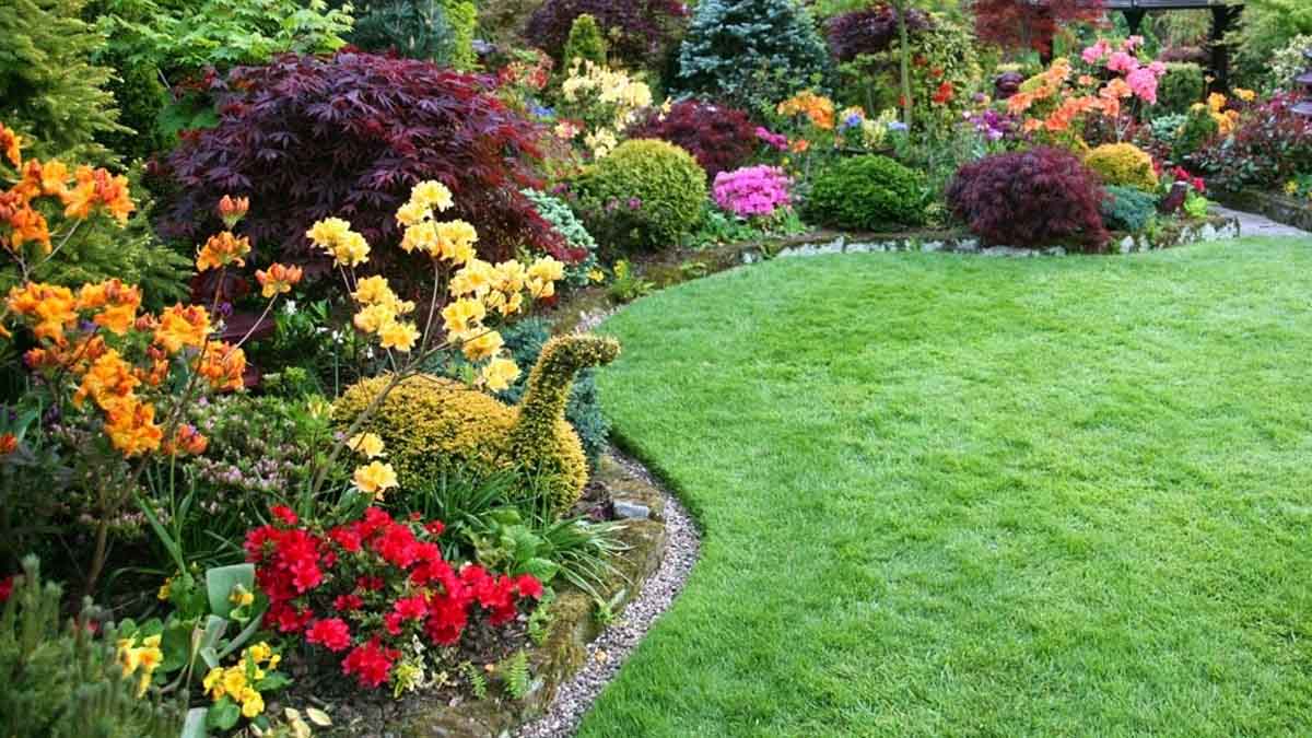 advanced flower and plant garden