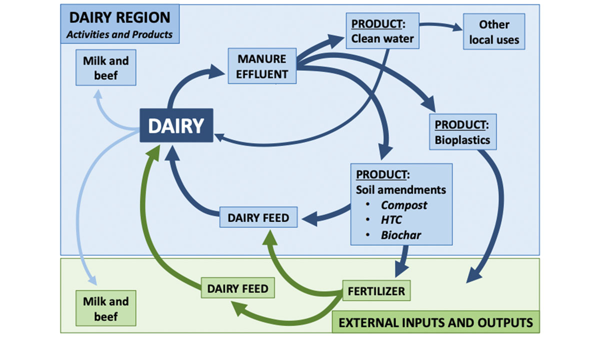 Figure: Dairy bioeconomy