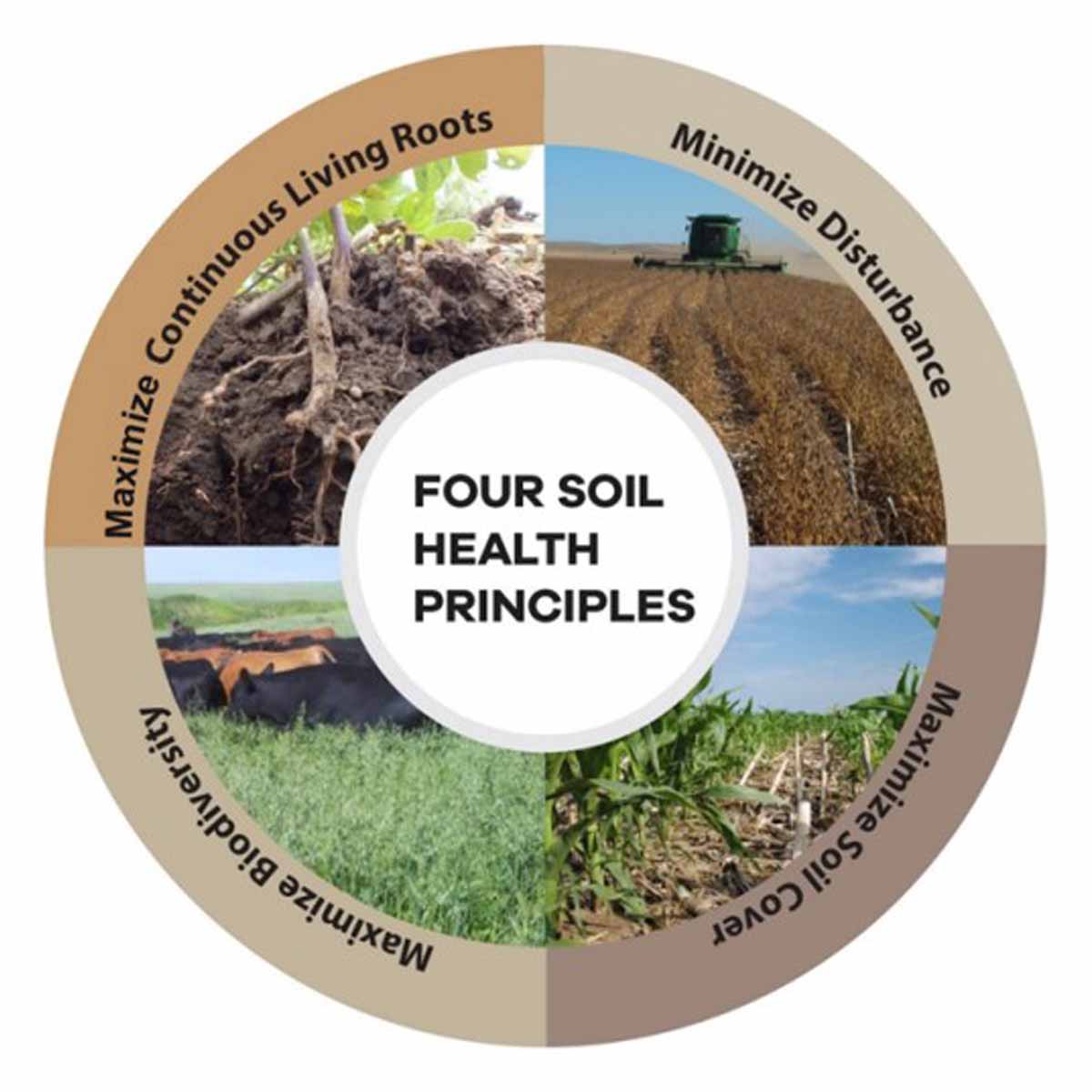 Four soil health principles graphic