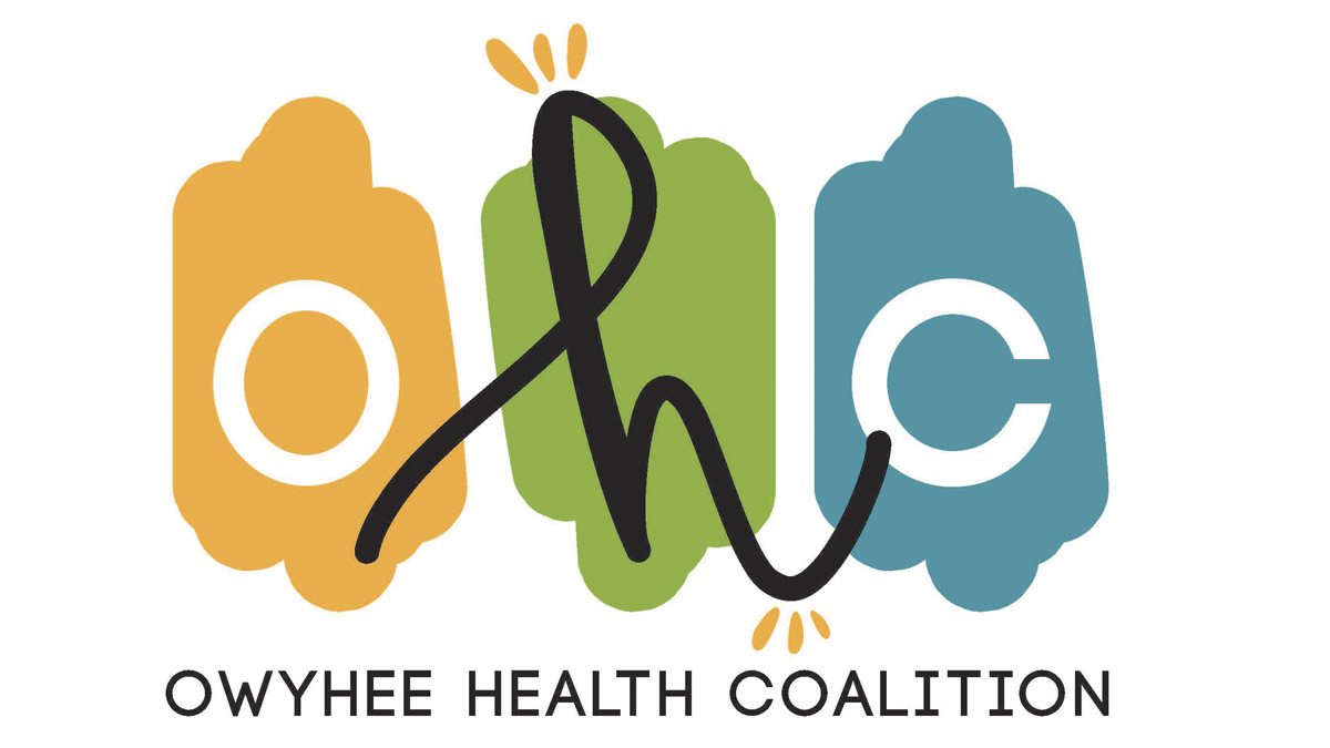 Owyhee health coalition graphic