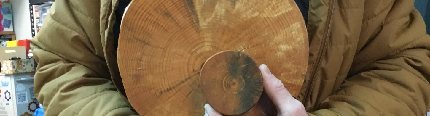 Randy Brooks holds tree cookies with blue-staining from the fungus carried by bark beetles.