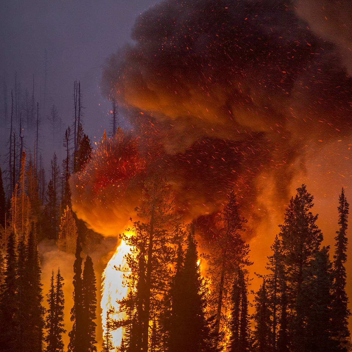 Swirling embers and smoke rising from burning fire at night time.