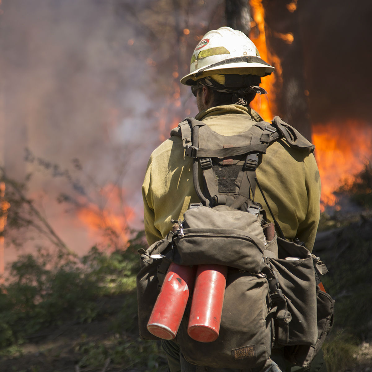 Firefighter standing in front in wildfire.