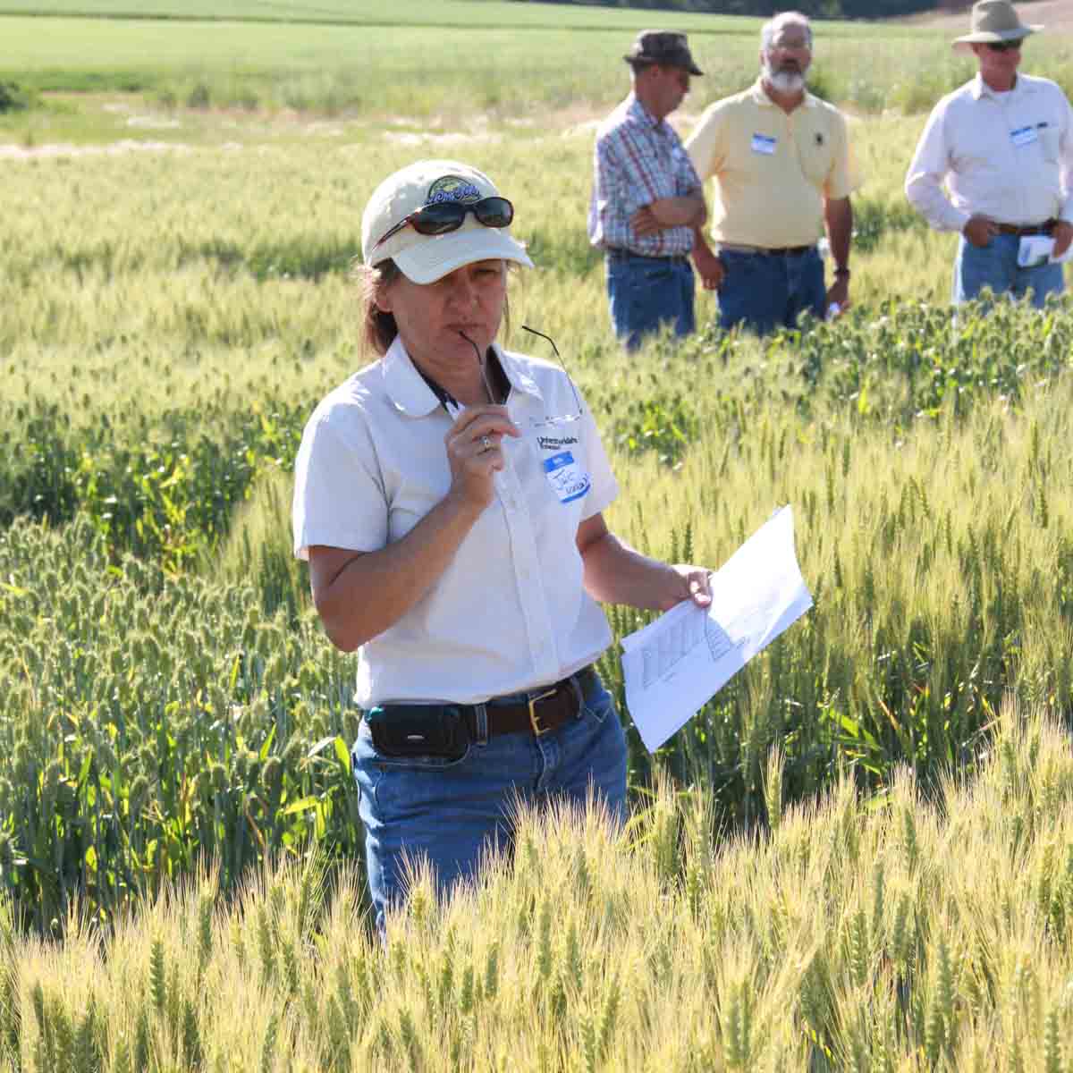 Juliet Marshall stands in a wheat field