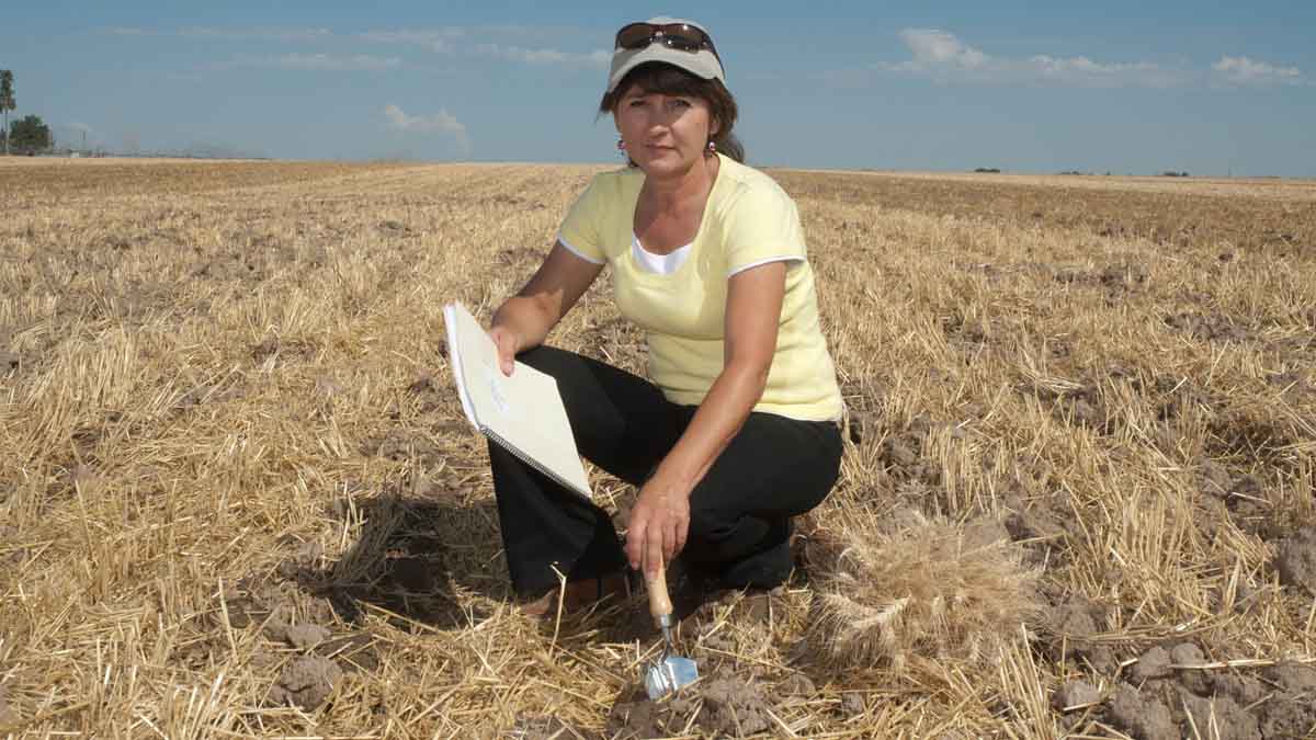 Juliet Marshall kneels in a wheat stubble field