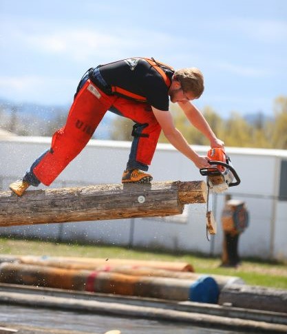 Paul Riebe saws a log.