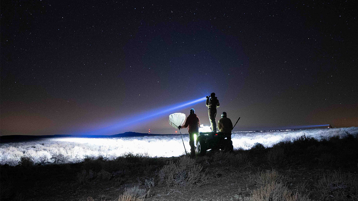 Three men pointing a light in the dark sky