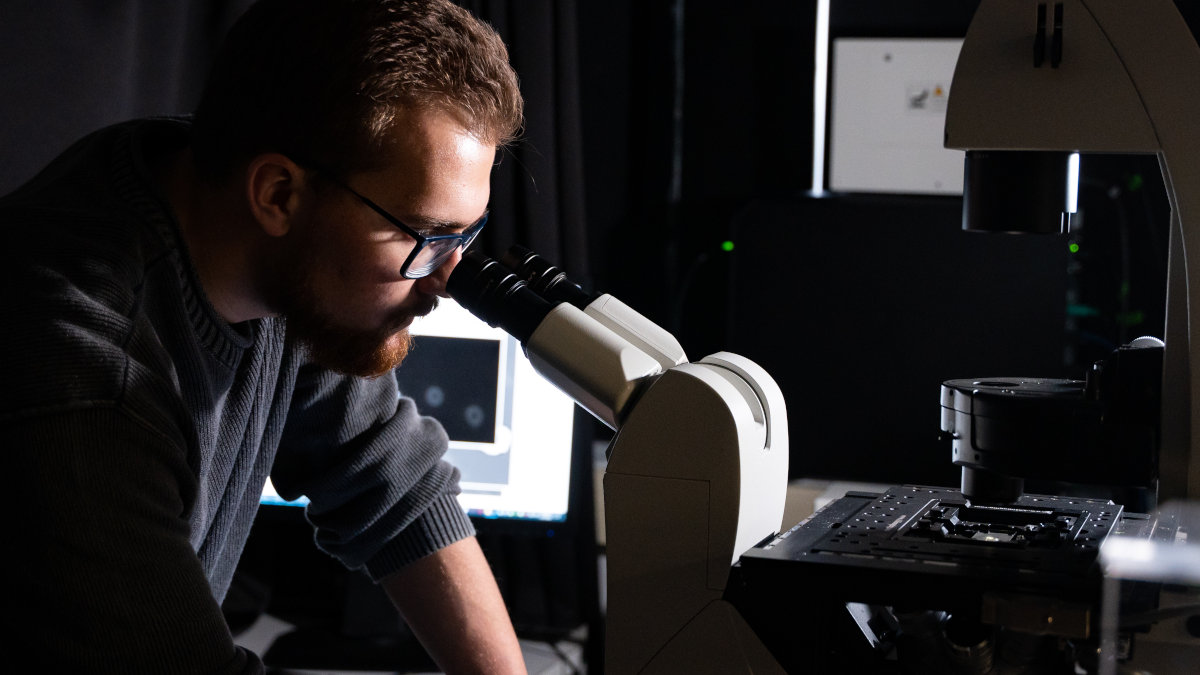 Bearded student wearing spectacles looks into a microscope