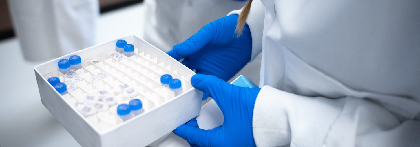 Hands wearing blue surgical gloves hold small tray of test tubes