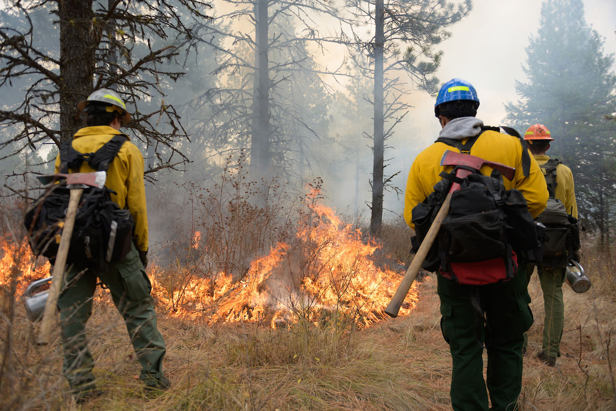 Students participate in a prescribed burn exercise.