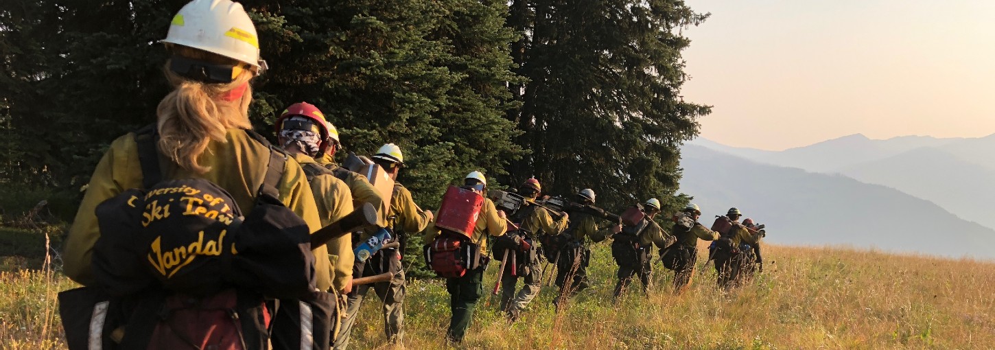  A line of firefighters hike across a meadow in front of trees.