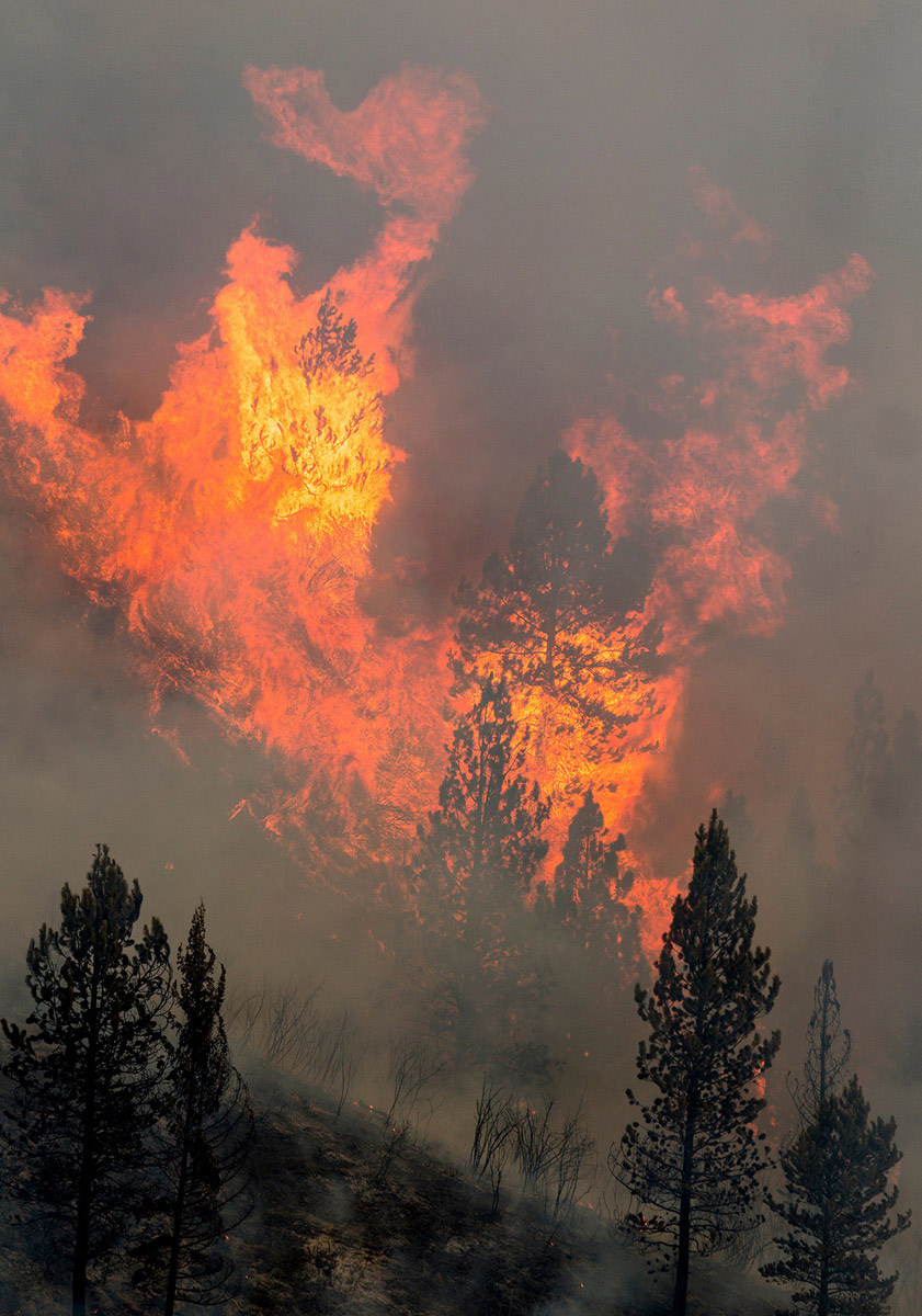 Whiskey Complex Fire
