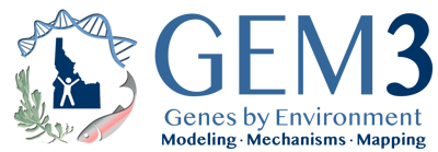 GEM3 Logo