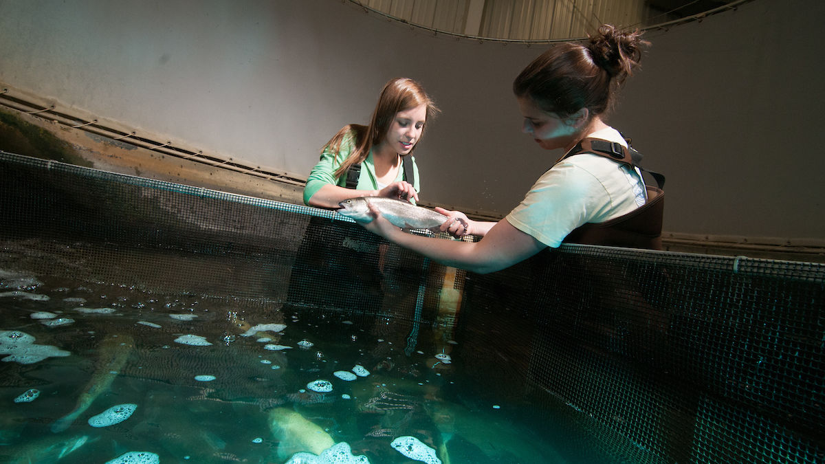 Two young women examine a fish next to a tank at an ARI facility