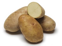 Alpine Russet Potato