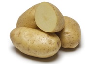Blazer Russet Potato