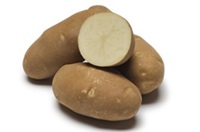 Clearwater Russet Potato