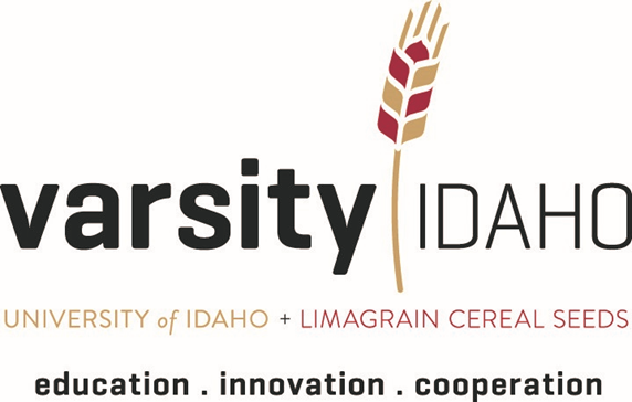 Varsity Idaho banner
