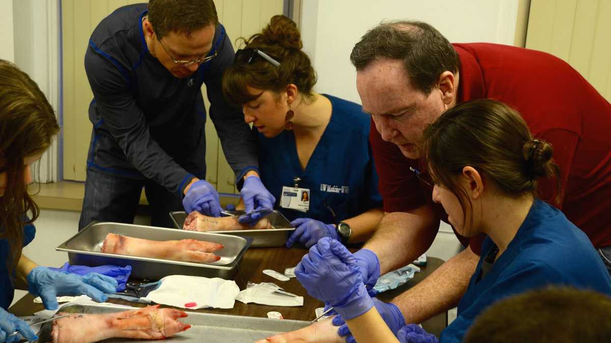 In the suture workshop with Dr. Hall, students practice sutures on pig feet.