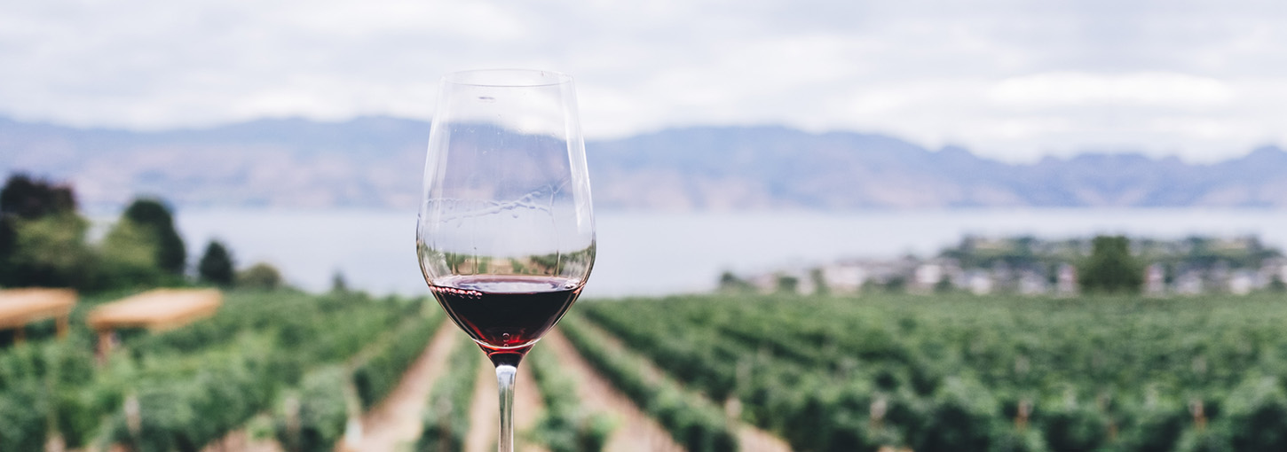 Vandals Uncorked 2019