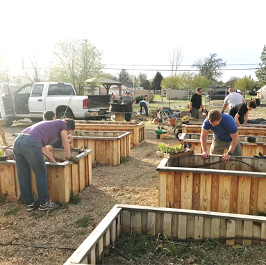 gardeners work in raised planting beds