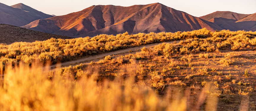 A Rangeland Prairie