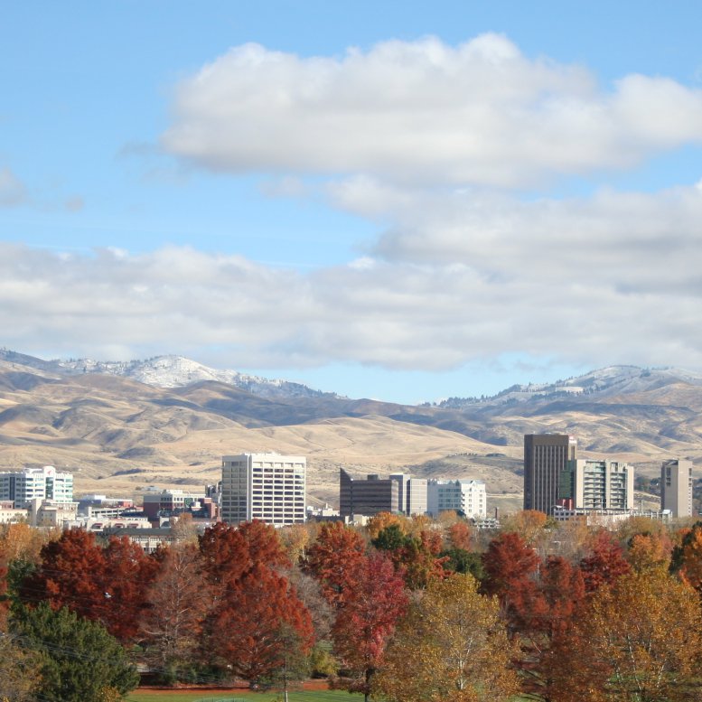The city of Boise skyline from a distance.