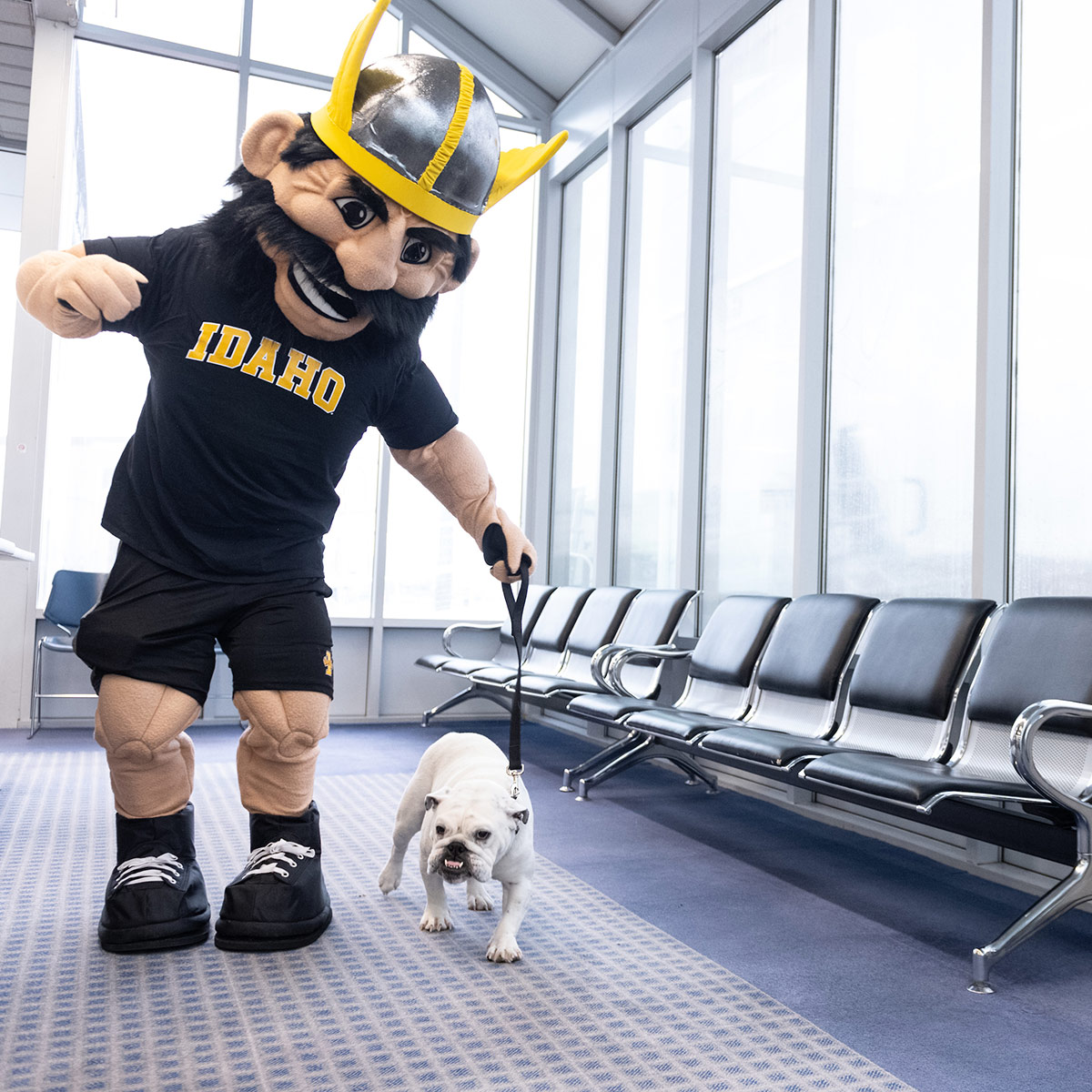 Joe Vandal holds the leash of a small white bulldog in the Moscow-Pullman Airport's waiting area.