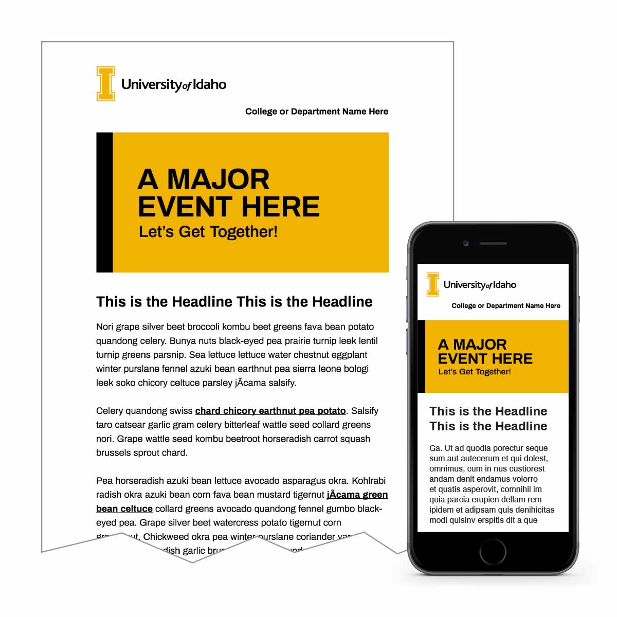 Bright Email Template 1