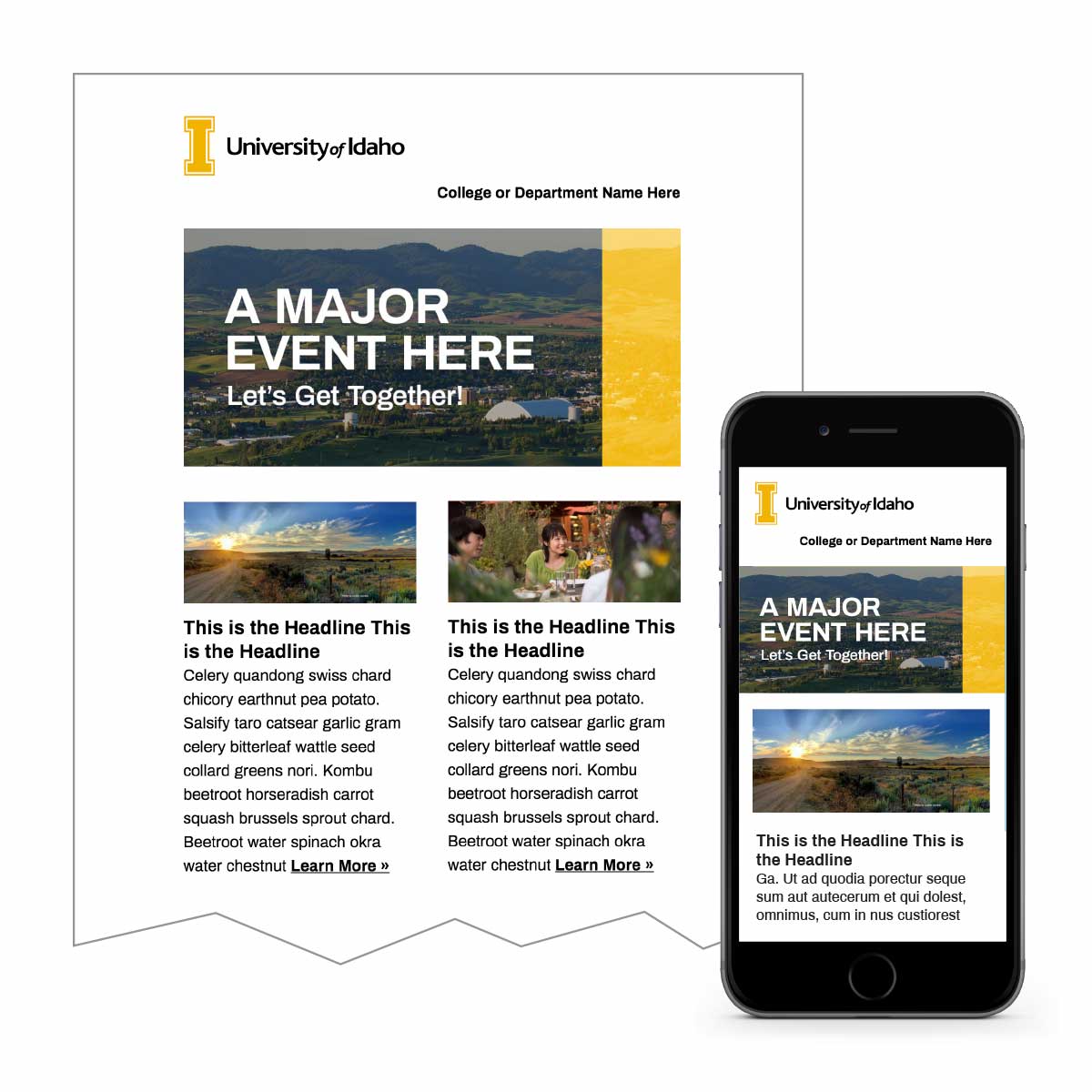 Bright Email Template 2