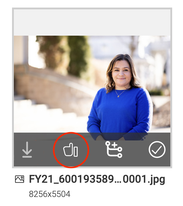 An image file with the second button from the left highlighted, which approves the file.