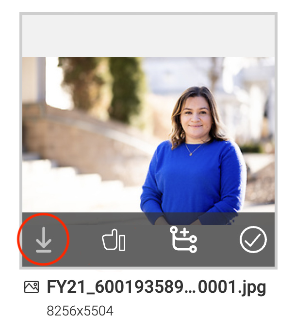 An image file with the left button highlighted, which downloads the file.