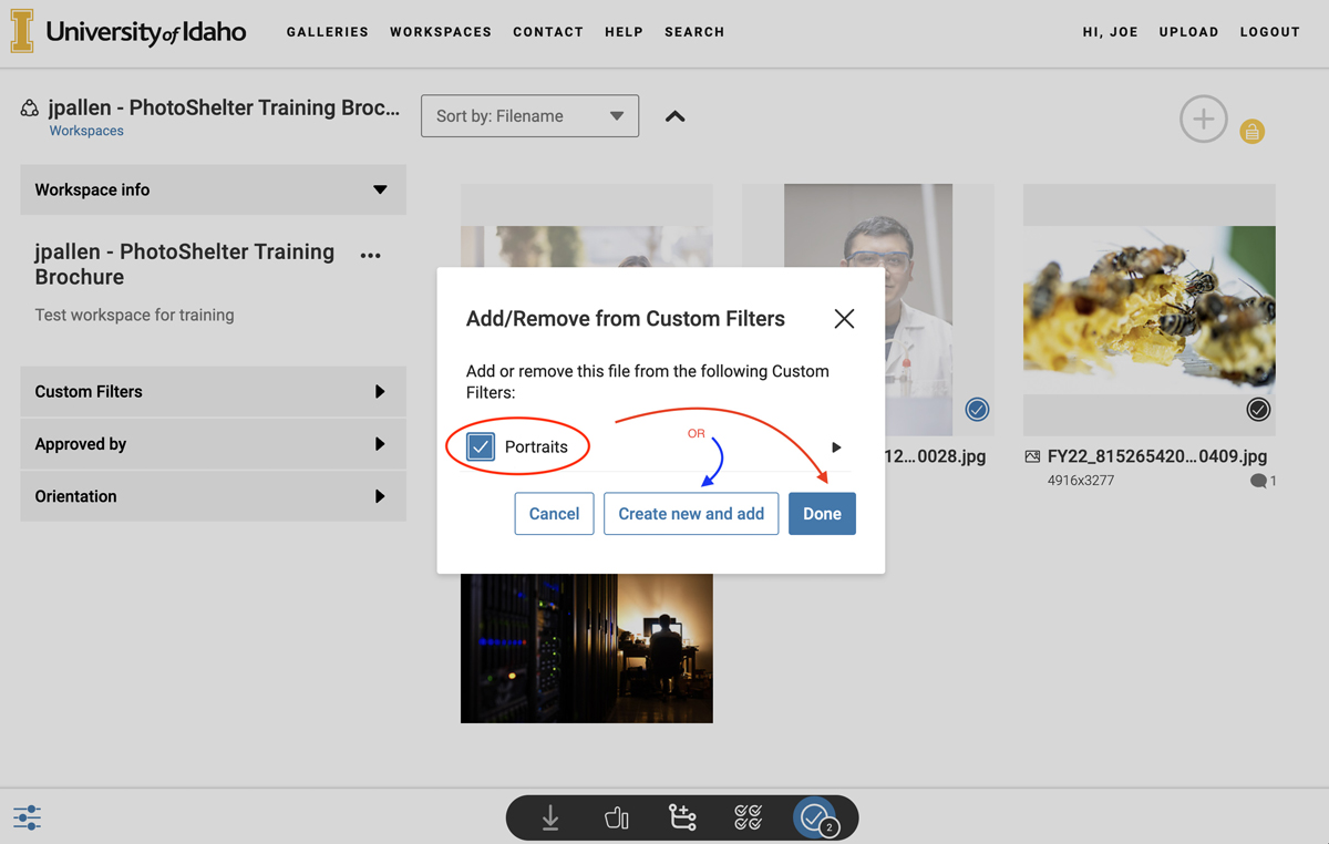 An image with the Add/Remove custom filter dialog open using red arrows showing how to add an already existing custom filter to an image and a blue arrow indicated how to create a new custom filter to add to an image.