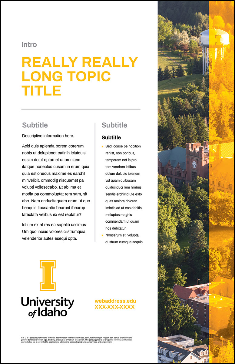 Poster Template Overlay Info
