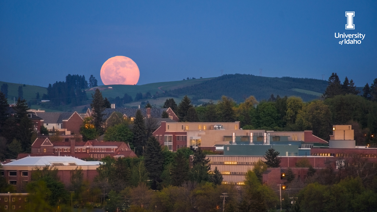 The moon rises over University of Idaho Moscow campus.