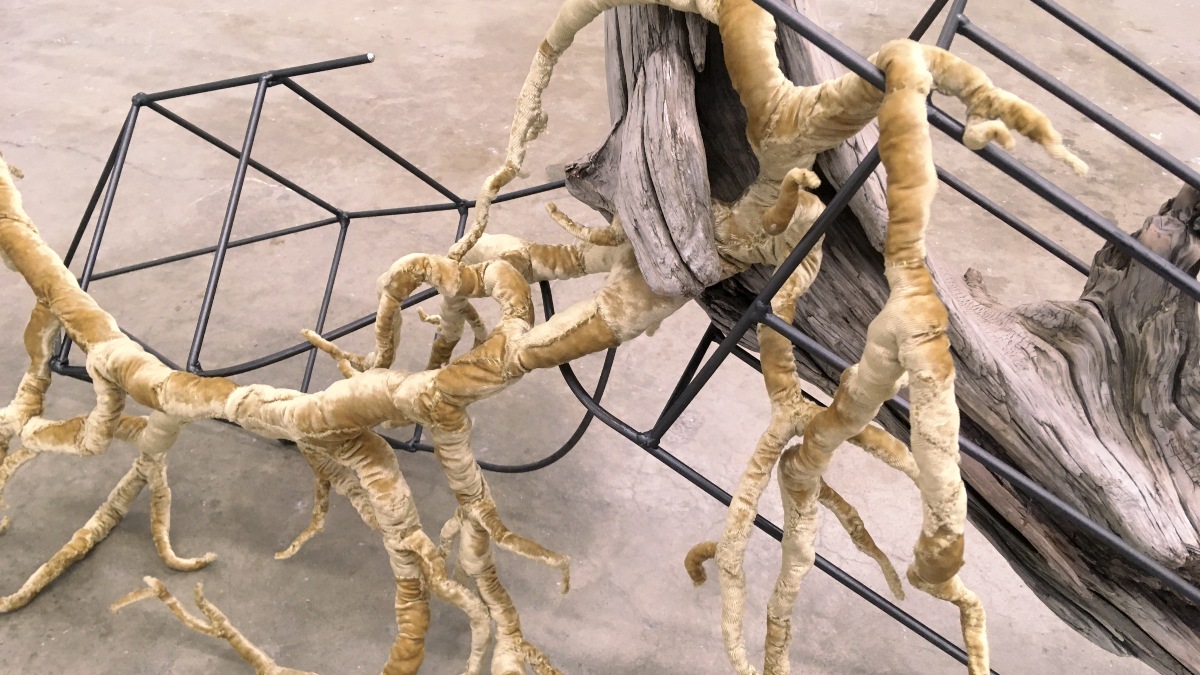 Found object sculpture with a metal frame, driftwood and roots.