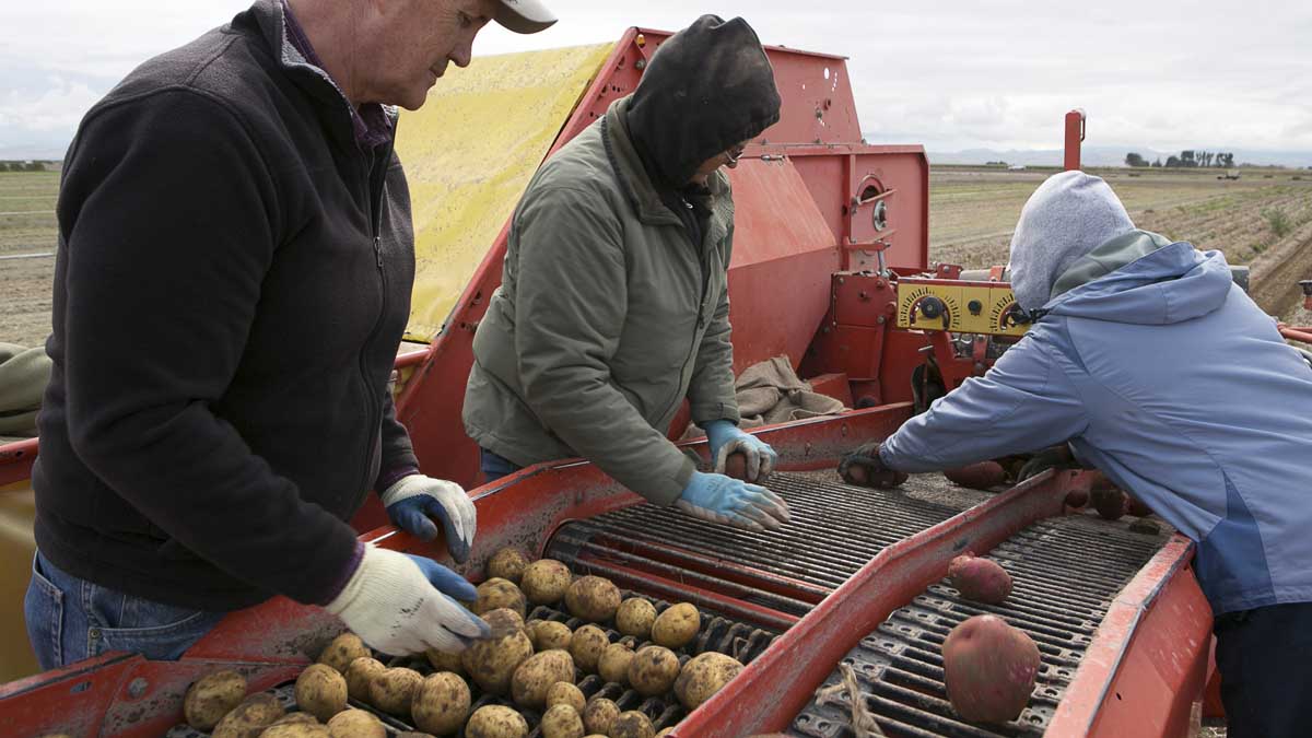 Aberdeen Research and Extension Center UIdaho