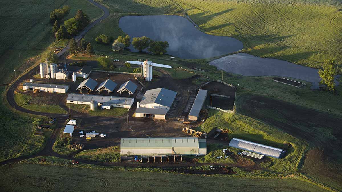 Aerial view of the Dairy Center