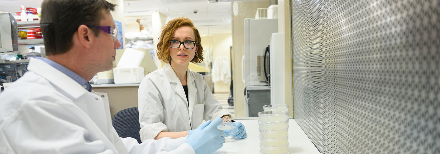 Man and women talk in laboratory with petri dishes.