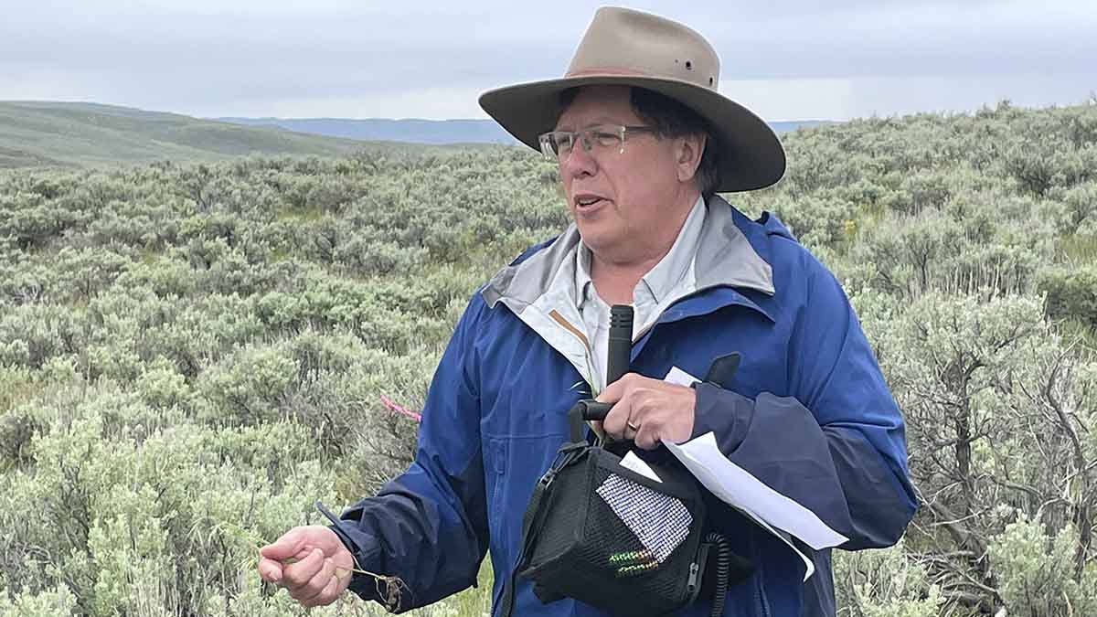 A man stands in a field of sagebrush holding a sample of invasive grasses taking root in the area.