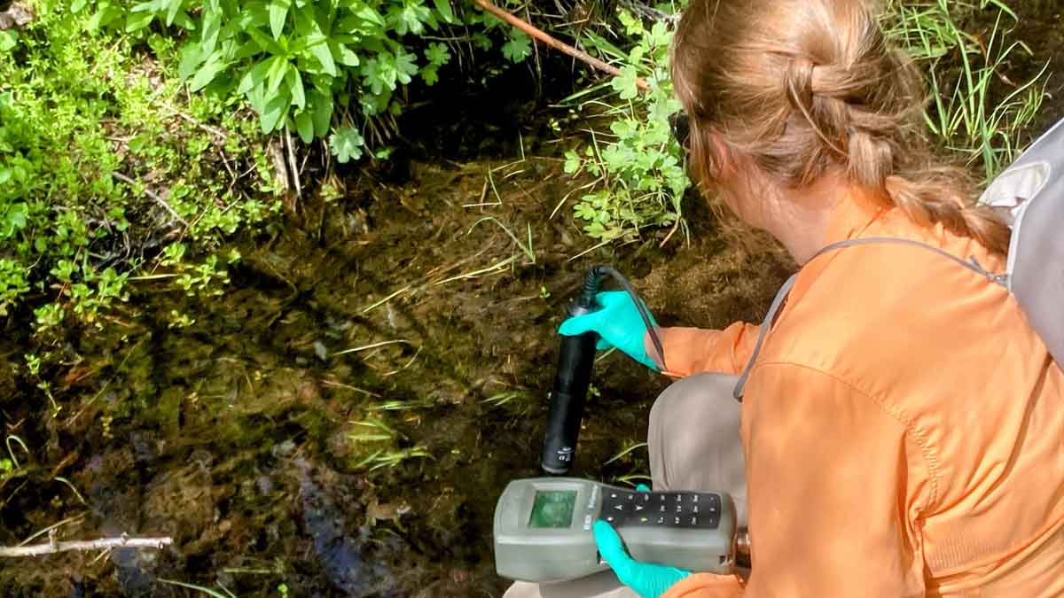 A woman takes water measurements at a small stream.