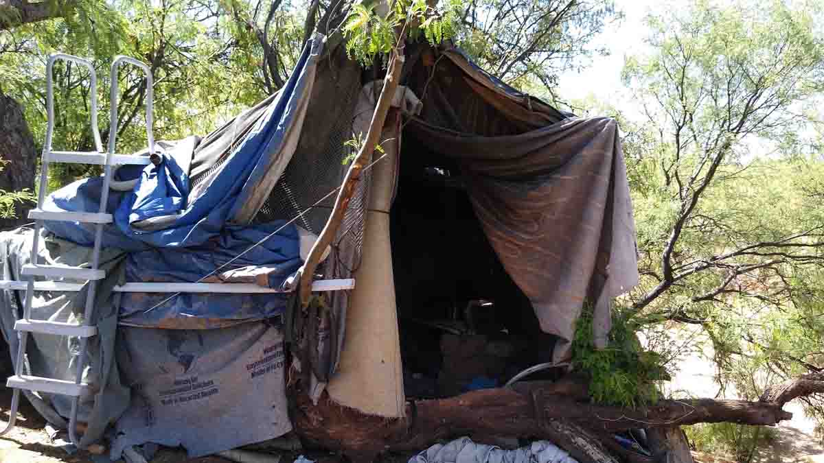 Makeshift shelter made of tarps and blankets attached to a tree limb.