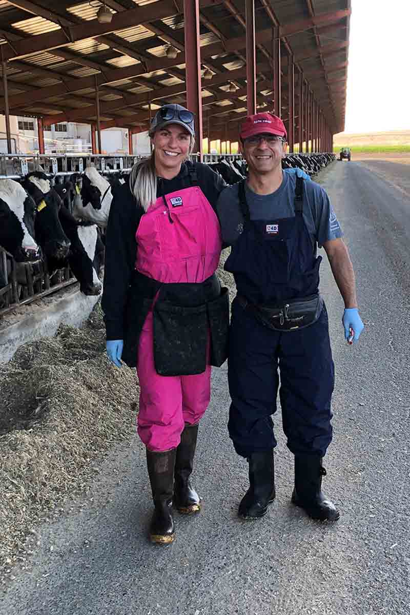 Woman and man standing in barn next to dairy cows