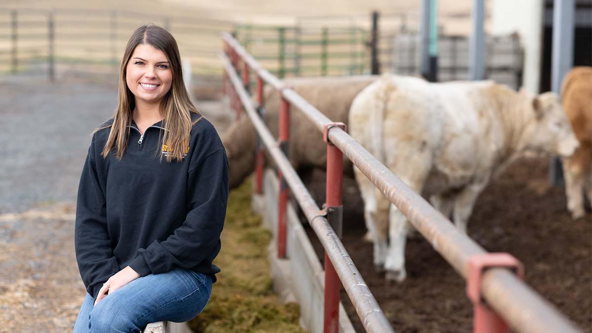 Woman sits next to fence with cows in the background